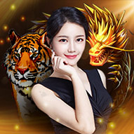 Dragon Tiger venus